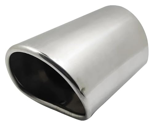 Tuyau d'échappement voiture double sortie embout silencieux inox pour Accord