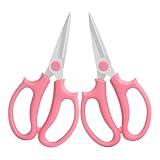 Schere Für Den Garten | 2-teilige Gartenschere für Pflanzen - Schere zum Anordnen von Blumen,Zur Verwendung In Und Um Das Haus, Im Garten, Auf Dem Hof, Floristen, In Gewächshäusern Und Bauernhöfen