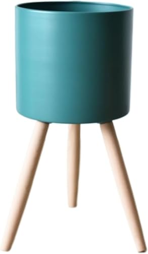 BRZU BS̐AؔAAAkX^CANGCeBuȎ[Av^[At[X^hAut[bNB (s[RbNu[,17*32cm)