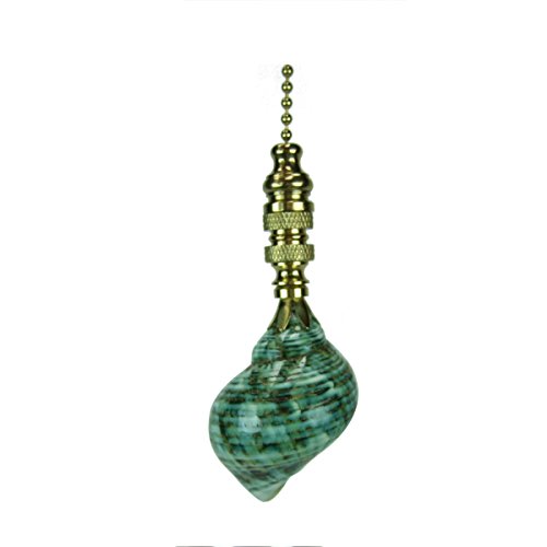 Image of Sea FoamTurbo Sea Shell Ceiling Fan Pull, 3 inch h with 12 inch Polished Brass Chain