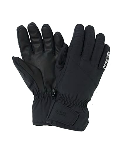 GORE PLUS WARM防水5本指グローブ