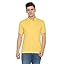Spinus Yellow