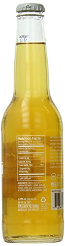 Wbc/Goose Island Craft Soda Spicy Ginger, 12 Ounce (Pack Of 4) #TOP1