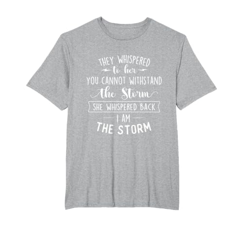 She Whispered I Am The Storm Motivational Quote Inspiration T-Shirt, Men's Big and Tall, Heather Grey, 3X Tall
