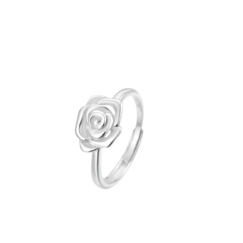 DyLyz Anillo de plata de ley 925 para mujer elegante anillo ajustable con grabado de flores anillo de banda delicado anillo llamativo para el dedo anillo de plata para el pulgar