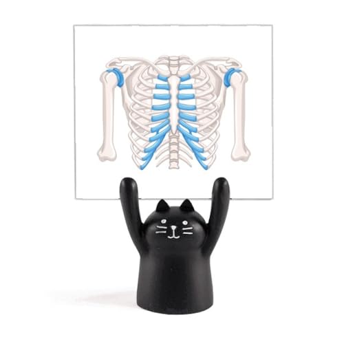 Memo holder cartoon figurine chat noir rigide avec porte-note médical