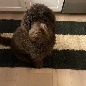 Hemp Runner Rug Long And Narrow Hand-Knotted Rug For Indoor Use Stairs Runner Bohemian Decor Kitchen Jute Rug Farmhouse Runner, Bedroom Runner Hallway Runner Black/White Table Runner 2.5Ft X 6Ft #TOP4