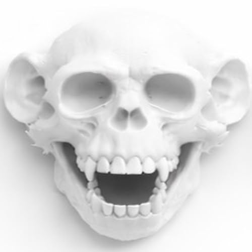 Laughingmonkeymusic Podcast Por Shawn Ratches arte de portada