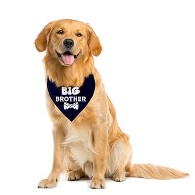 Big Brother Dog Bandana, Dog Pregnancy Announcement, Gift for Dog Lover, Dog Bandana for Small Medium Large Dogs, Dark Blue Dog Bandana, Big Brother Dog Shirt, Dog Scarf (A9)