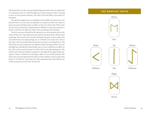 The Beginner's Guide to Runes: Divination and Magic with the Elder Futhark Runes