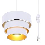 Mateyrie Plug in Pendant Light, Hanging Lamp with Dimmable Switch, Pendant Light Fixtures with 15 Ft