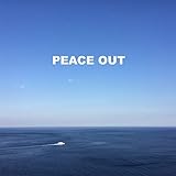 THE PEACE OUT