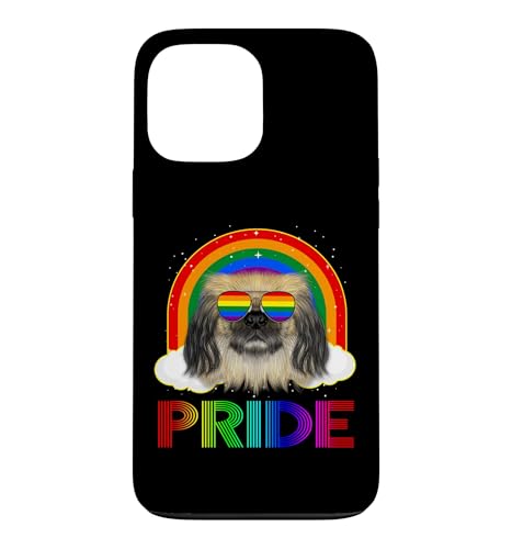 �y�L�j�[�Y �� ���K�l LGBT ���C���{�[ �Q�C ���Y�r�A�� LGBTQ �v���C�h �X�}�z�P�[�X iPhone 13 Pro Max �p