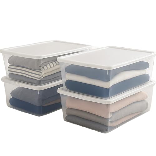 HOMZ 4-Pack Snaplock, Small Clear Plastic Storage Organizer Bins w/Lids,