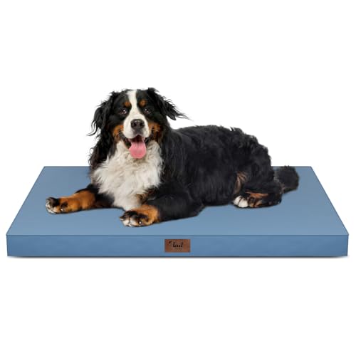 Tail Stories Outdoor Extra Large Dog Bed XXL for Giant Breed Dogs