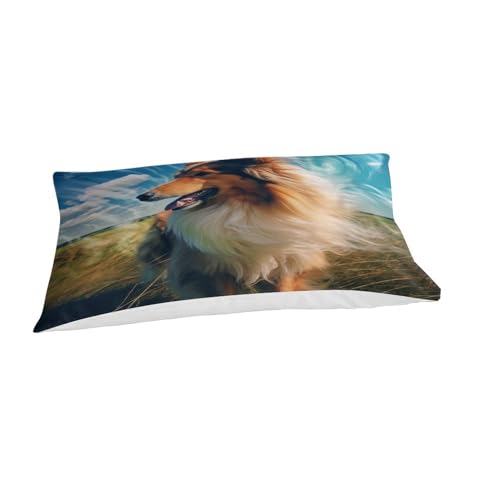 Housse couette Sheltie anti-pli en microfibre respirante 3D
