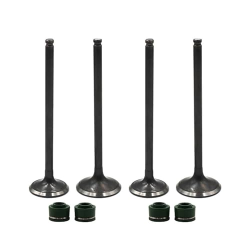 Joints d'huile et de tige pour AN250 1998-2007 et DR250 lot de 4 pièces