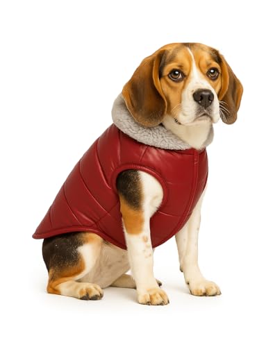 Image of The Pets Company Dog Winter Coat Jacket, Clothes, Windproof, Waterproof, Light Weight, Washable, Ultra Warm Thick Fleece Lined Dog Vest for Cold Weather Protection, (Maroon, Medium - 20 Inch)