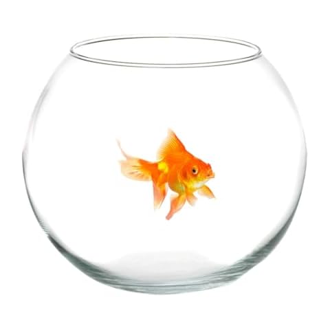 OISE ART STORE Glass Fish Bowl 25 cm Cover