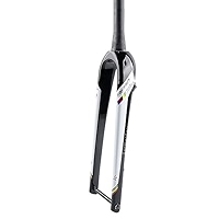 ビアンキ ROMA CARBON FORK ポリッシュ ビアンキ ROMA CARBON FORK ポリッシュ
