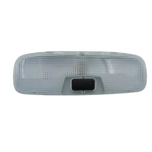 Luz de lectura para techo de coche Ford Focus que soluciona la falta de visibilidad interior