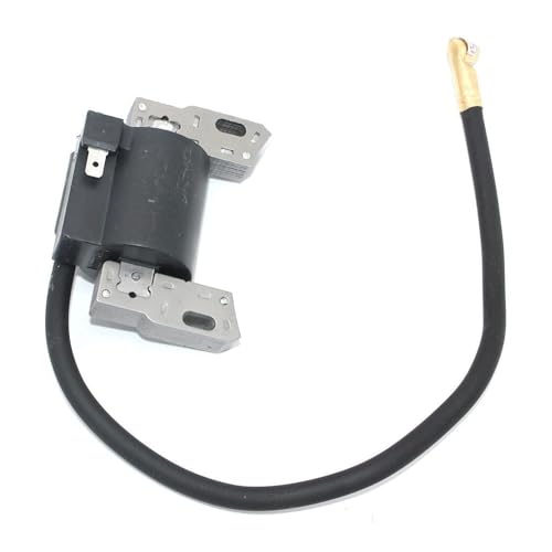 Bobine d'allumage pour résoudre les problèmes de démarrage à chaud - 3