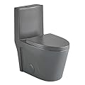 Fine Fixtures Dual-Flush Elongated One-Piece Toilet with High Efficiency Flush in Matte Grey