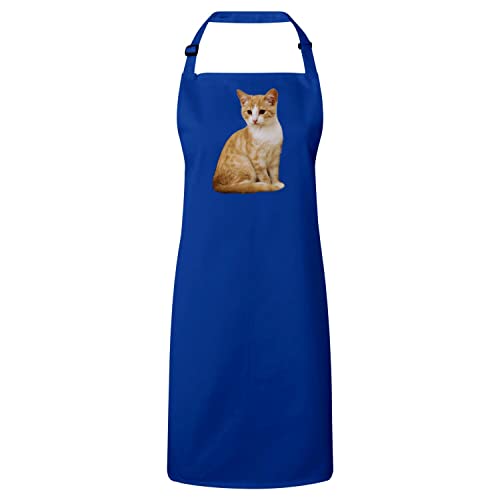Tablier cuisine bleu anti-taches chat roux pour cuisiner proprement
