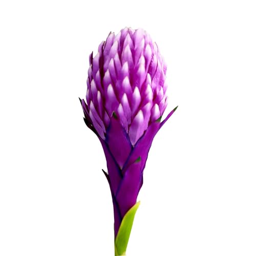 Image of Enhance Your Space with Artificial Leaf Decor Foliage for Stunning Interiors Decorative Items for Home;Office; Room; Living Room; Table; (Without Vase) (Pack of 2, Violet)