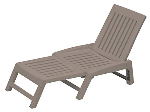 LETTINO 'ORFEO' TORTORA