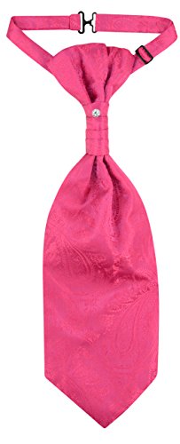 Image of Vesuvio Napoli PreTied ASCOT Solid PAISLEY Color Cravat Men's Neck Tie 21 Colors