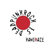  Theme of the KAMIKAZE