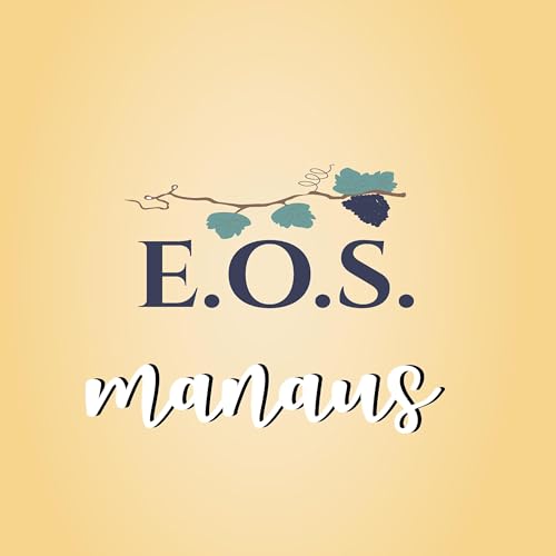 08 - NOS DOM&Iacute;NIOS DA MEDIUNIDADE - por Andr&eacute; Luiz Podcast By EOS Manaus cover art