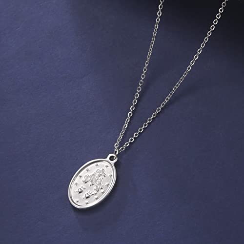 Collar con medalla milagrosa Virgen María en acero inoxidable