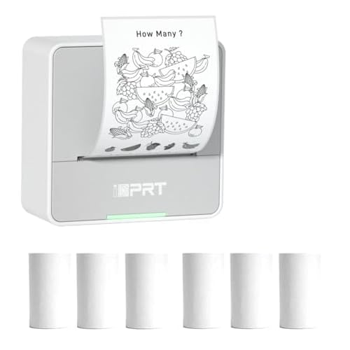 iDPRT S2 Mini Printer with 6 Rolls Thermal Sticker Paper Bundle