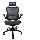 High Back Ergonomic Adjustable Office Chair with Breathable Mesh, Weight Capacity Over 300Ibs Passed BIFMA, Adjustable Headrest, Backrest and Flip-up Armrests, Computer Chair, Executive Chair
