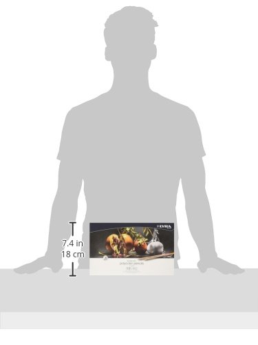 Amazon.co.jp: リラ 油性色鉛筆 ポリカラー 72色セット (メタル