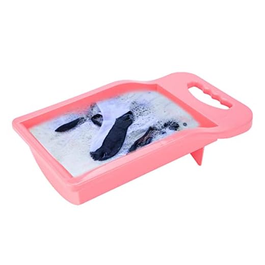 Lavatório para Lavandaria - Engrossar PP Underwear Socks Tábua de Lavar | Lavatório portátil para lavar roupa à mão e pequenos artigos delicados A/r