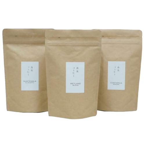 自家焙煎スペシャルティコーヒー [豆]100g×3種(計300g)セット シングルオリジン2種+ブレンド 北海道 釧路 ふるさと納税 飲料 コーヒー 飲み比べ