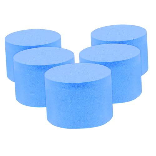 Toyvian 5 Piezas Filtro De Piscina Reutilizable Blue Esponja