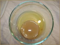 Kombucha Mini Scoby with Tea and Sugar