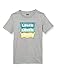 Produktbild Levi's Kids LVB TRIPLE BATWING OVERLAP A797 T-Shirt - Jungen Grey Heather 5-7