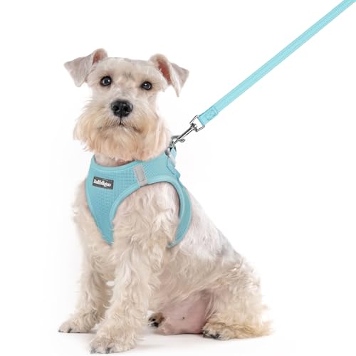 Image of rabbitgoo Dog Harness Medium Sized and Leash Set, Step-in Puppy Pet Vest