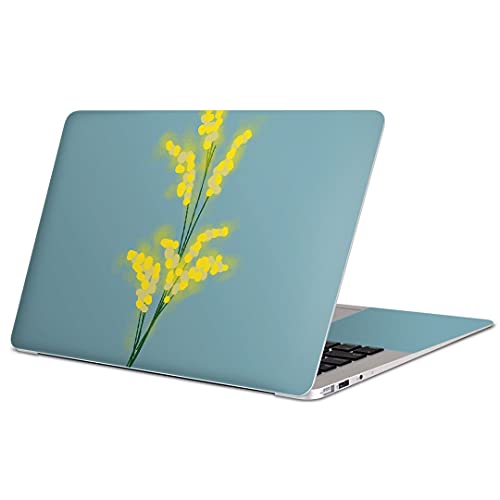 igsticker MacBook Air 13inch A1466 / A1369 ��p�X�L���V�[�� 2010~2017���f���܂őΉ� �}�b�N�u�b�N �G�A Mac Air 13�C���` �m�[�g�u�b�N �t�B���� �X�e�b�J�[ �A�N�Z�T���[ �ی� 016280 