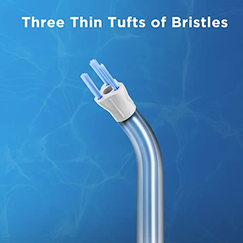 Replacet Tips For Waterpik Water Flosser 6 Count (Pack Of 1) 6 Plaque Seeker Tips