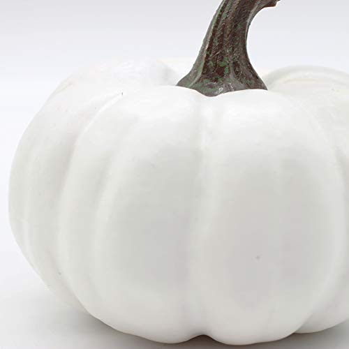 image for tyoungg Artificial Faux White Pumpkins Assorted Sizes Set for Autumn H