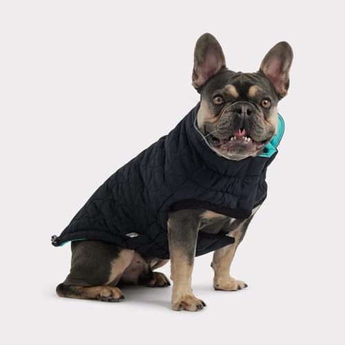 GF Pet Reversible Chalet Jacket - Black/Aqua - 2XL