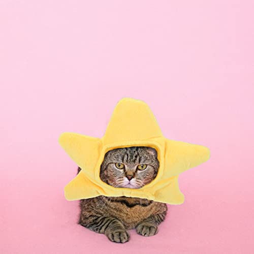 Disfraz para perro Sombrero hawaiano 2 piezas miniatura 5