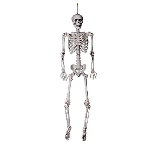 Fewear Skeleton Model, Miniature Model, Easy to Manipulate,Posable Halloween Skeleton- Full Body Halloween Skeleton with Movable/Posable Joints for Best Halloween Decoration Prop, Stay Skeleton(C)