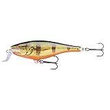 rapala pro bass fishing ps4 cheats Natürliches Beutefischprofil Rapala - Super Shad Rap Angelköder - Angelzubehör mit Balsakörper - Süßwasser Spinnköder - Lauftiefe 1.5-2.7m - Fischköder 14cm, 45g - Hergestellt in Estland - Peacock Bass